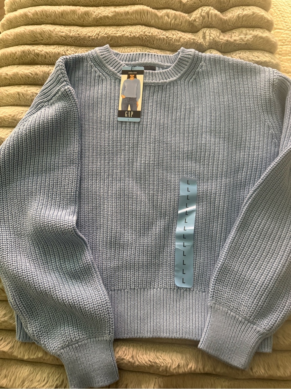 GAP Women’s Light Blue Crewneck Knit Sweater